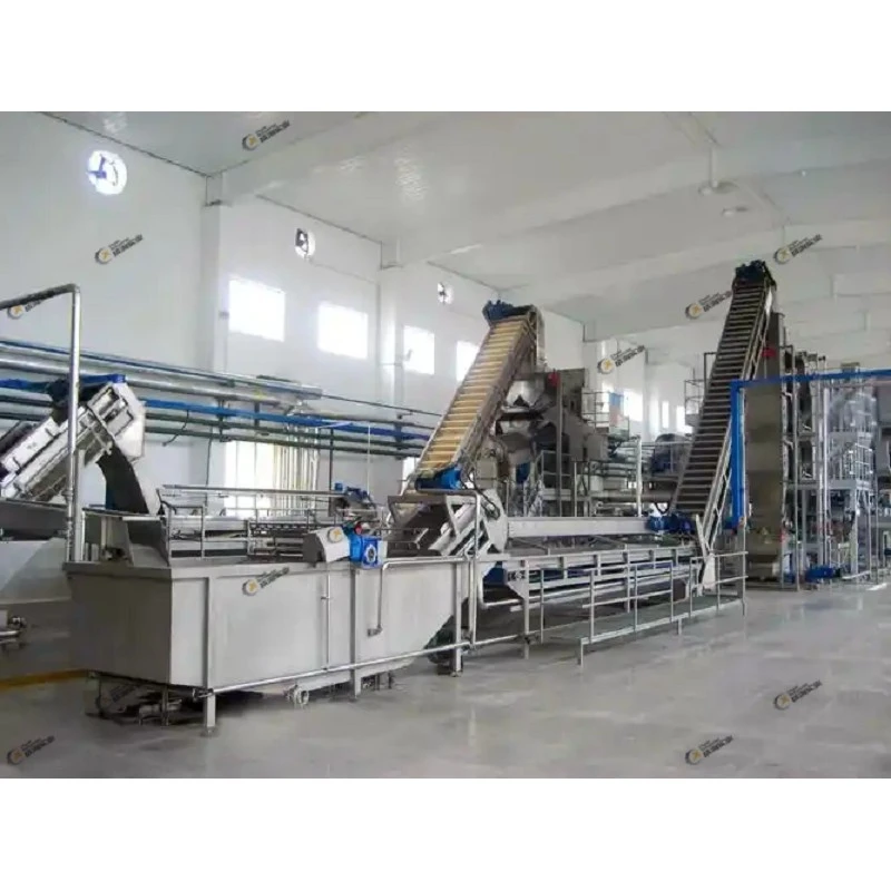 Plum Processing Line price